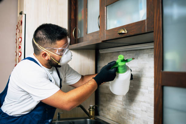 Pest Prevention Services in La Cienega, NM