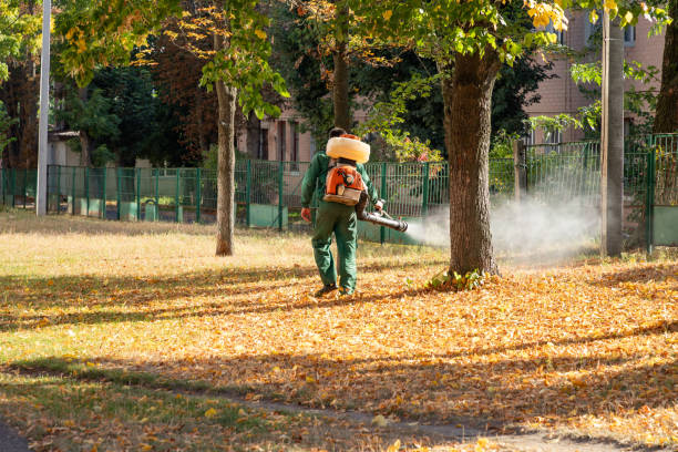 Flea Control Services in La Cienega, NM