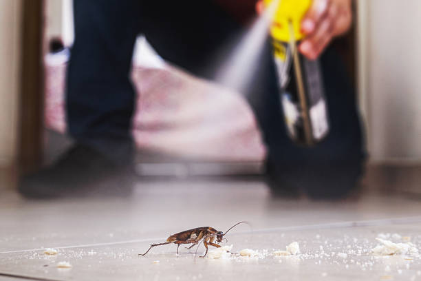 Best Rodent Control Near Me  in La Cienega, NM