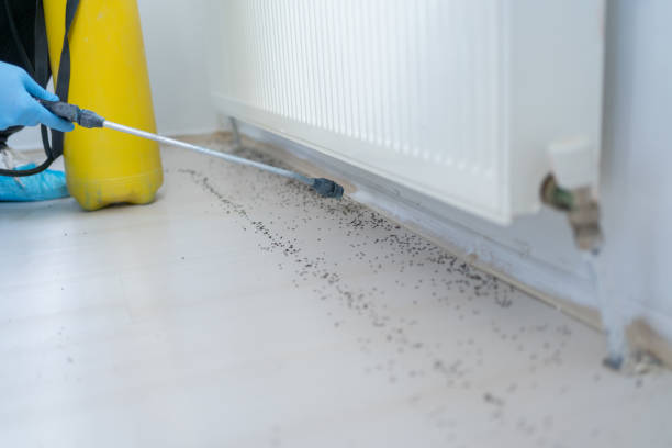 Best Pest Control Near Me  in La Cienega, NM
