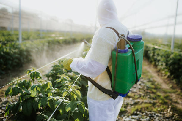 Best Best Pest Control Companies  in La Cienega, NM